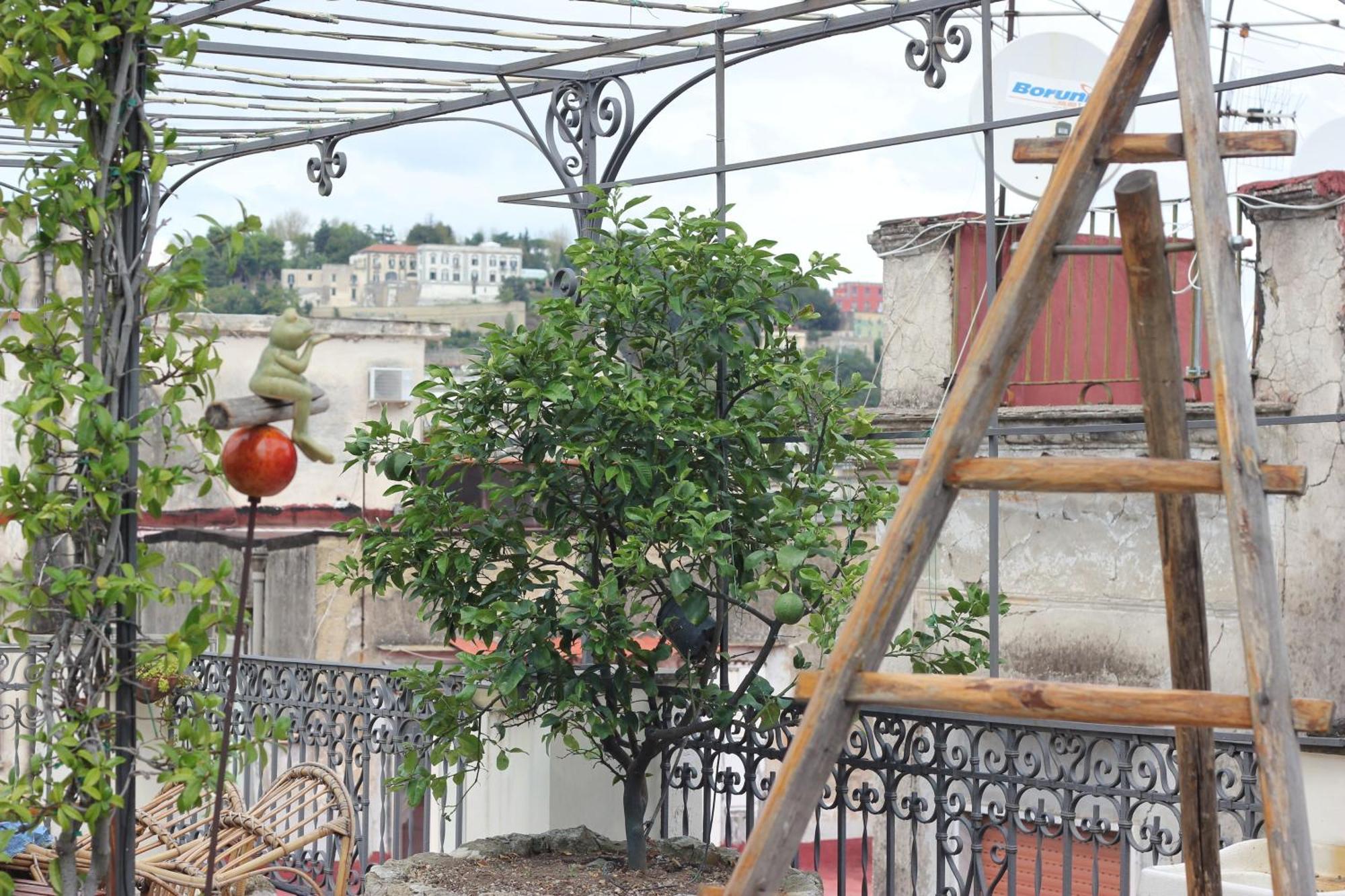 Ferienwohnung Lemon Tree Terrace Neapel Exterior foto